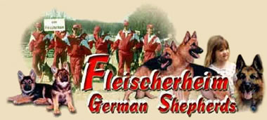 Fleischerheim German Shepherds - German Sherpherd Breeders